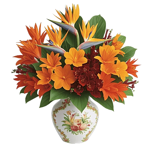 Petal Radiance Bliss