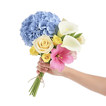 Serene Petal Harmony