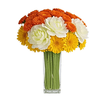 Petal Radiance Bliss