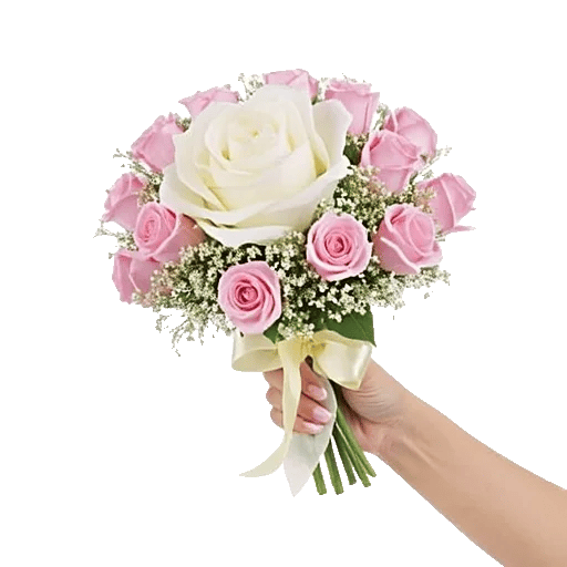 Pastel Pink Roses