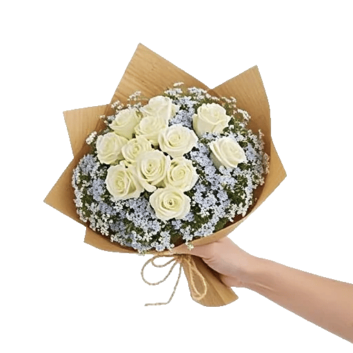 Serene Petal Harmony