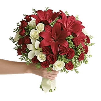 Crimson Lily Glow