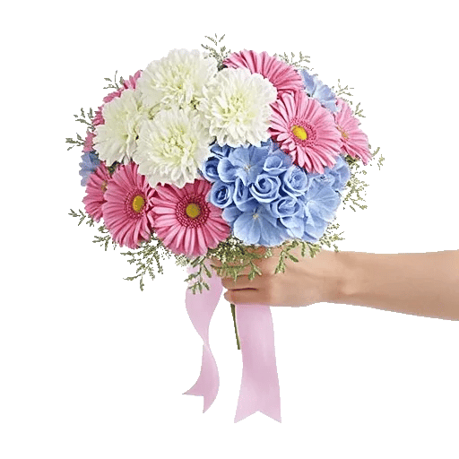 Pastel Pink Roses