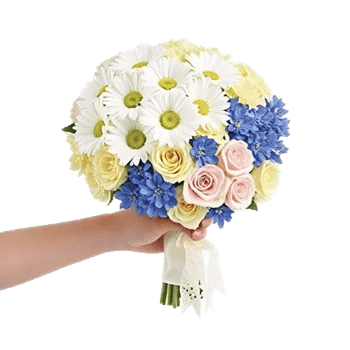 Ivory Garden Grace