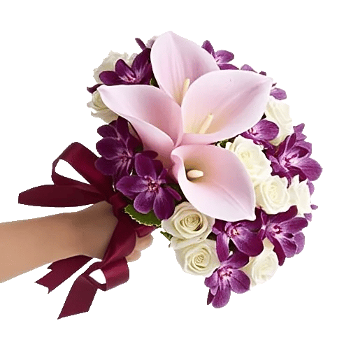 Elegant Calla Lilies