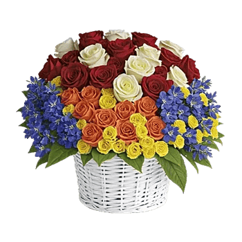 Delicate Petal Cascade