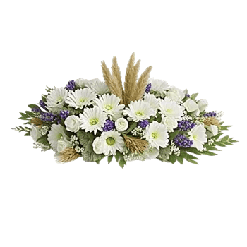 Delicate Petal Cascade