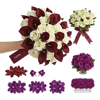 Elegant Calla Lilies