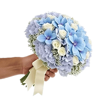 Serene Petal Harmony