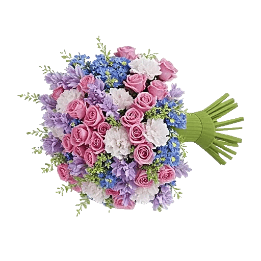 Lavender Fields Forever