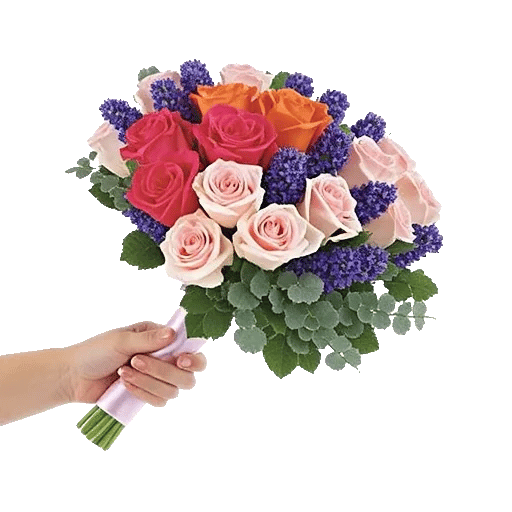 Pastel Pink Roses