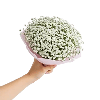 Blossom Radiant Whisper