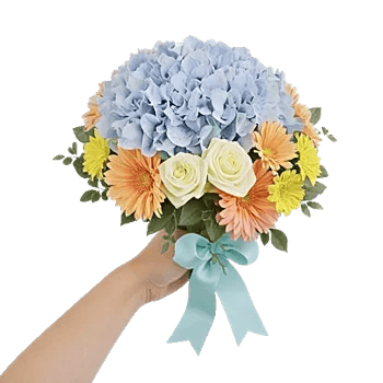 Sapphire Bloom Whisper