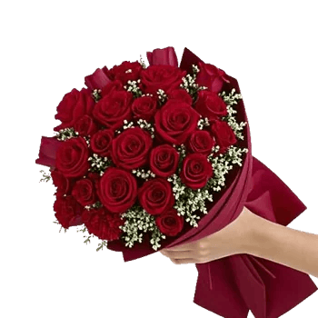 Crimson Rose Elegance