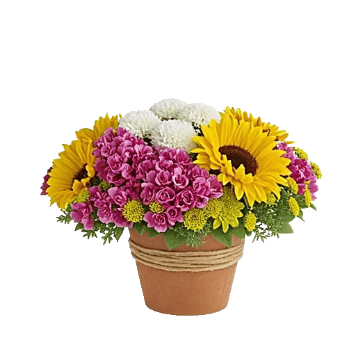 Amber Sunflower Glow