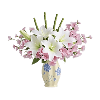 Ivory Blossom Radiance