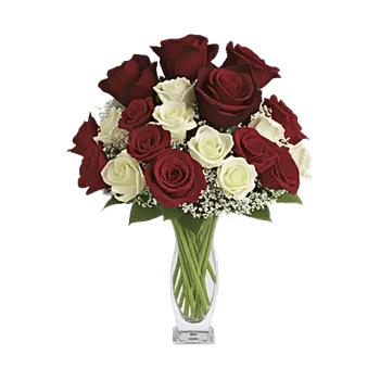 Crimson Rose Elegance