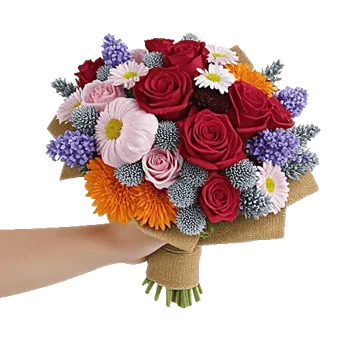 Crimson Rose Elegance