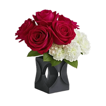 Crimson Rose Elegance