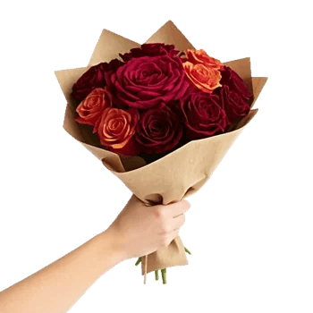 Crimson Rose Elegance