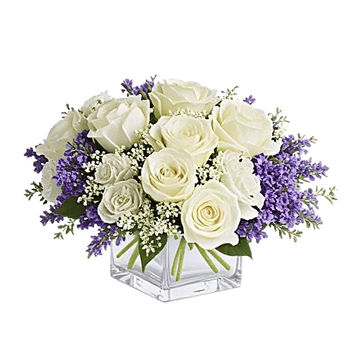 Delicate Petal Cascade