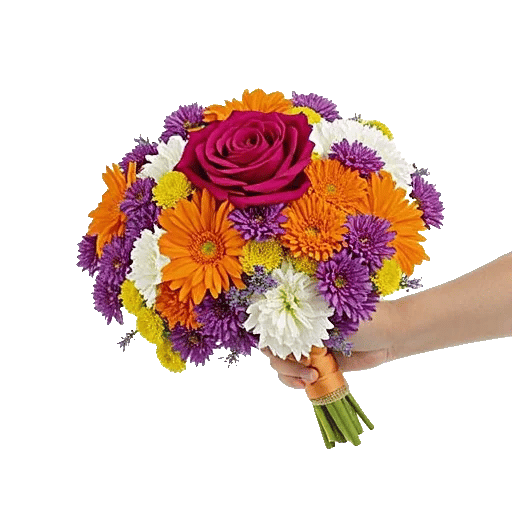 Blushing Rose Symphony