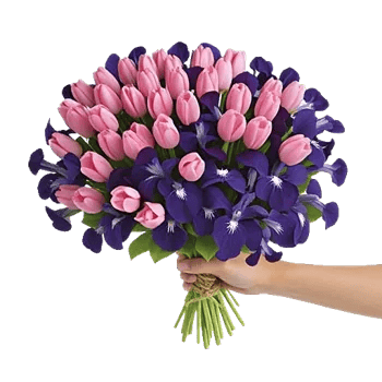 Velvet Tulip Display