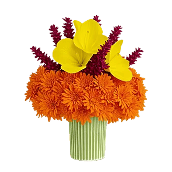 Petal Radiance Bliss