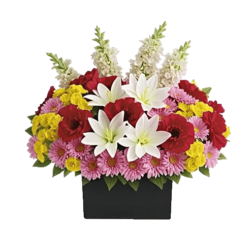 Blossom Harmony Display