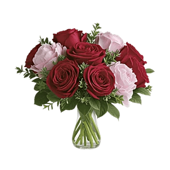 Petal Radiance Bliss