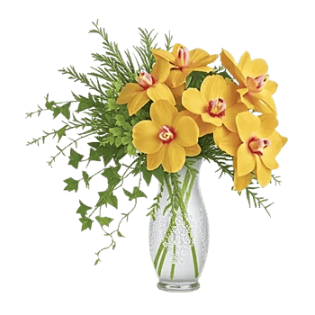 Orchid Bloom Cascade