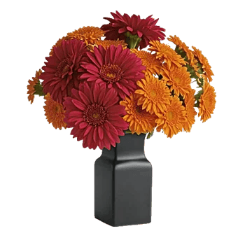 Crimson Blossom Harmony