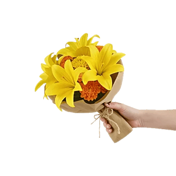 Blossom Harmony Display