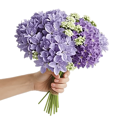 Blossom Harmony Display