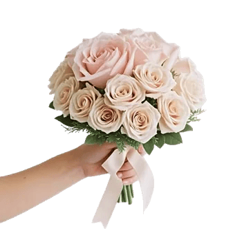 Blushing Rose Symphony