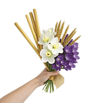 Modern White Orchids