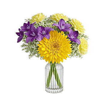 Crimson Blossom Harmony