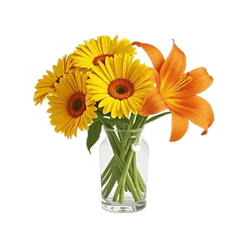 Petal Harmony Bliss