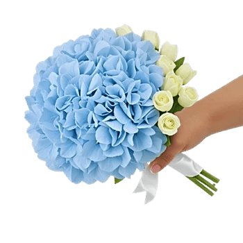 Serene Petal Harmony