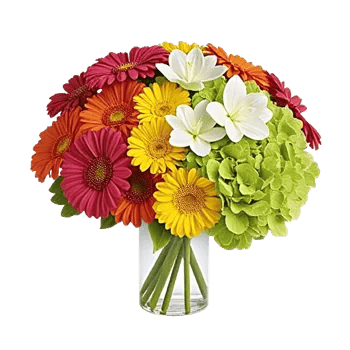 Blossom Glow Symphony