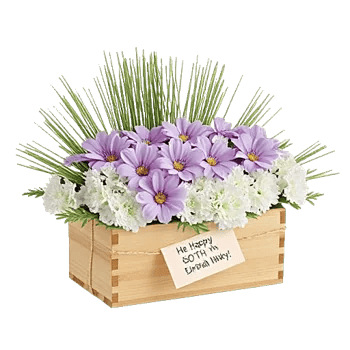 Lavender Bloom Grace