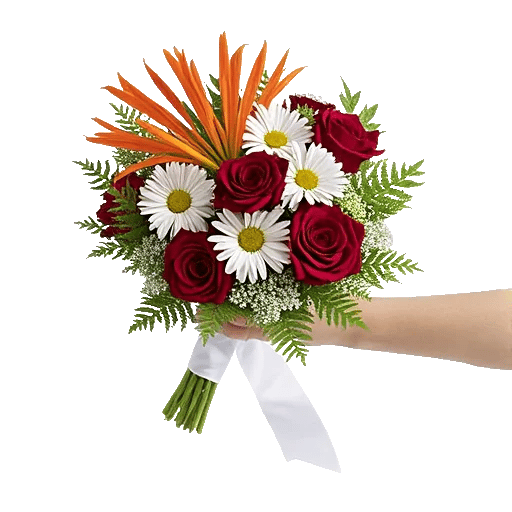 Crimson Rose Elegance