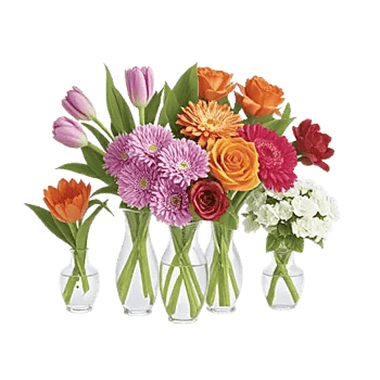 Petal Radiance Bliss