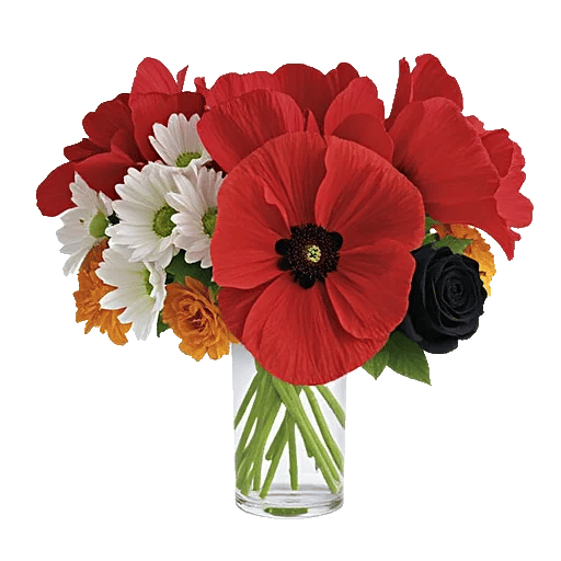 Petal Radiance Bliss