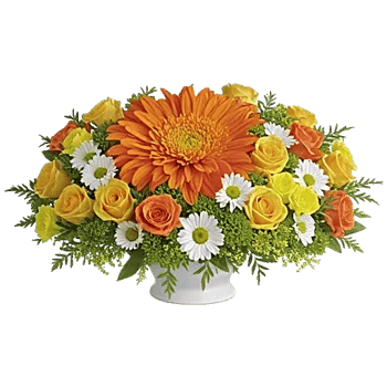 Radiant Bloom Cascade