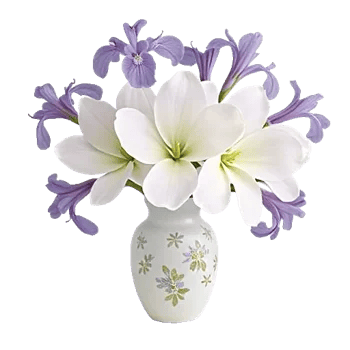 Ivory Blossom Radiance