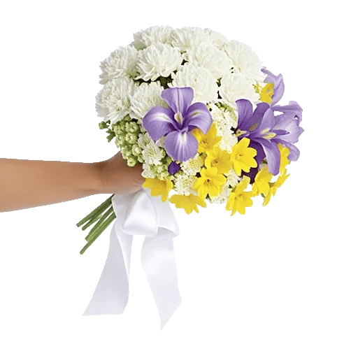 Delicate Petal Cascade