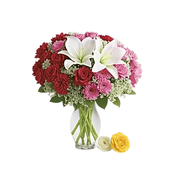 Ivory Blossom Radiance