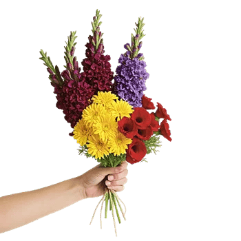 Crimson Blossom Harmony