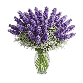 Lavender Bloom Grace